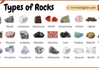 Types of Rocks Names in English and Their Pictures