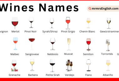 Types of Wines Names in English and Pictures