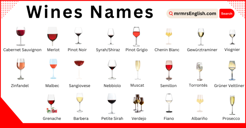 Types of Wines Names in English and Pictures