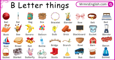 B Letter things for kids in English with Their Pictures