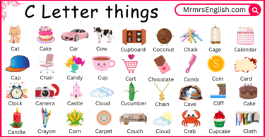 C Letter things names for kids and their Pictures