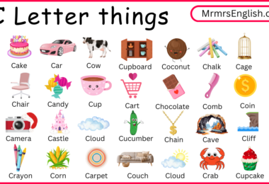 C Letter things names for kids and their Pictures