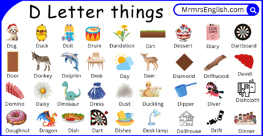 D Letter Things and Pictures for kids in English