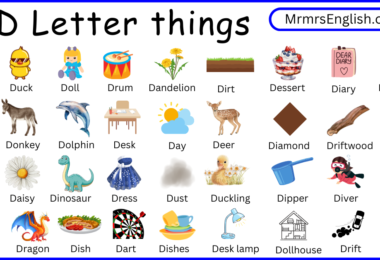 D Letter Things and Pictures for kids in English