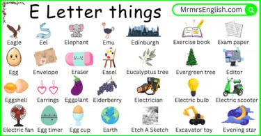 E Letter Things names and Pictures for Kids