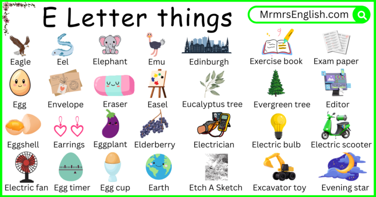 E Letter Things names and Pictures for Kids - MR MRS ENGLISH