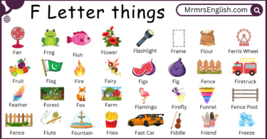 F letter Things in English and Pictures for kids