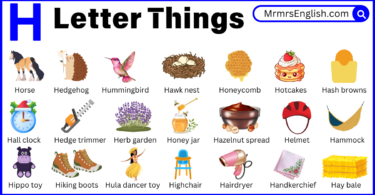 H letter Things names in English for Kids and Pictures