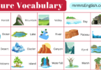 Nature Vocabulary Words in English and Pictures