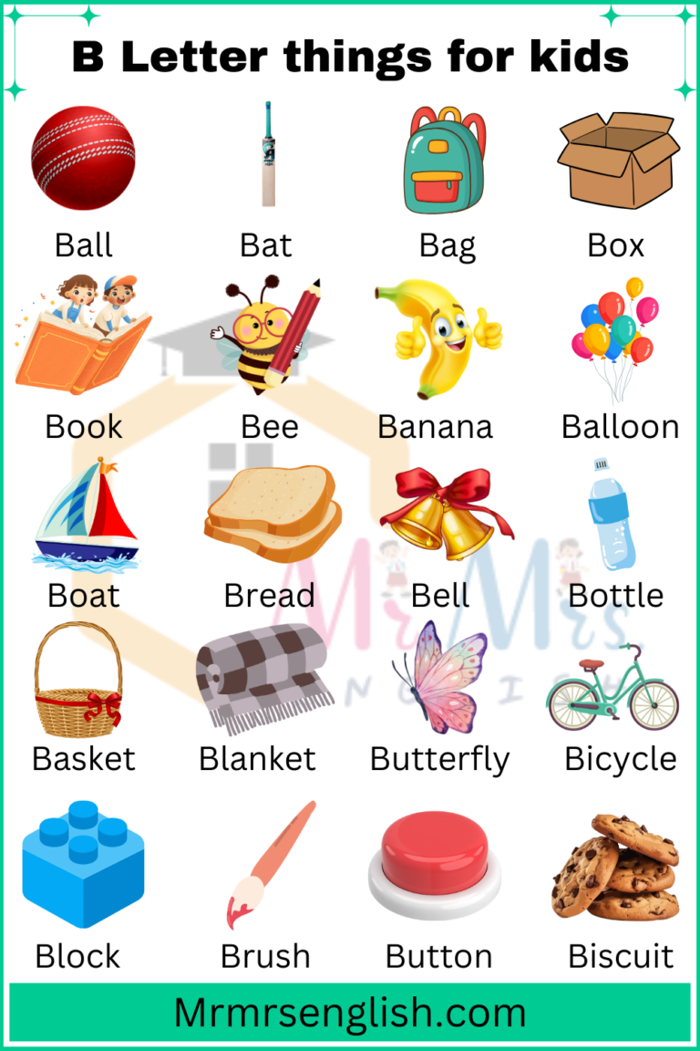 B Letter things for kids in English with Their Pictures - MR MRS ENGLISH