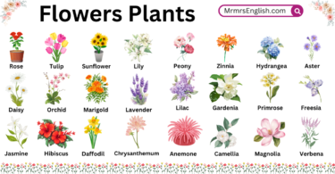 Flowers Plants Names in English with Their Pictures