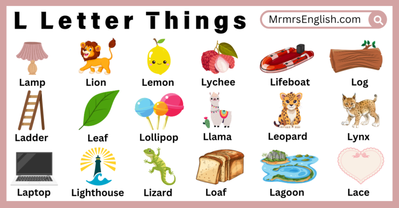 L letter things names in English with their Pictures