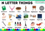 N letter things names and Their Pictures for Kids