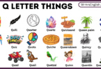 Q letter Things Names and Pictures for kids