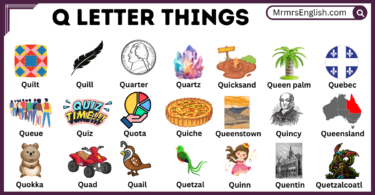 Q letter Things Names and Pictures for kids