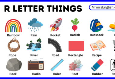 R letter things Names for Kids in English with Pictures