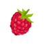 R Shaped Raspberry R letter things Names for Kids in English with Pictures - MR MRS ENGLISH