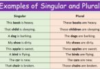 100 Examples of Singular and Plural in English