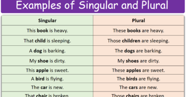 100 Examples of Singular and Plural in English