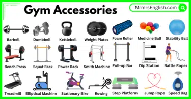 Gym Accessories Names in English with their Pictures