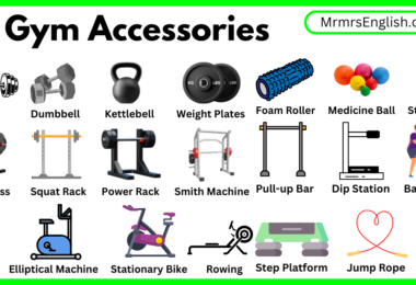 Gym Accessories Names in English with their Pictures