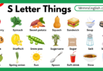 S letter Things Names in English for Kids