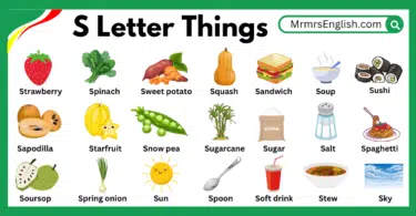 S letter Things Names in English for Kids