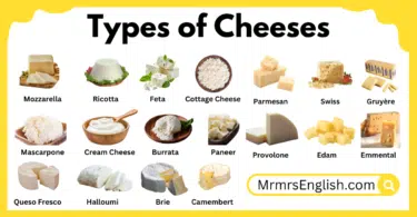 Different Types of Cheeses Names in English with Pictures