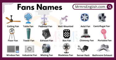 Different Types of Fans Names with their Pictures