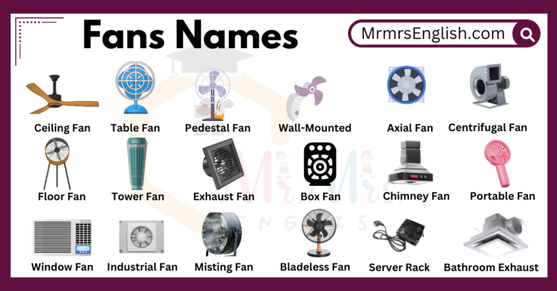 Different Types of Fans Names with their Pictures