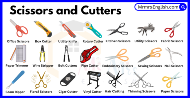 Different Types of Scissors and Cutters names with Pictures