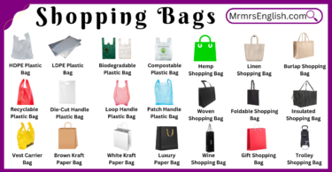 Different Types of Shopping bags names and their Pictures