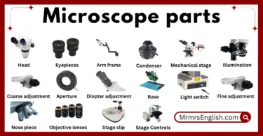 Microscope parts names in English and their Pictures