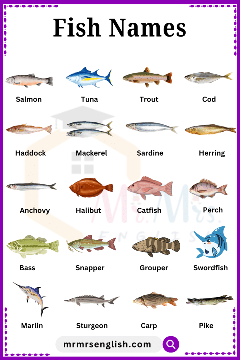 Different Types of Fish names in English and their Pictures - MR MRS ...