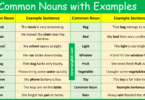 100 Common Nouns with Examples in English and Pictures