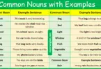 100 Common Nouns with Examples in English and Pictures