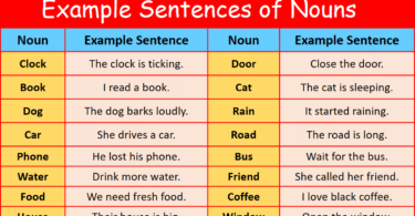 100 Example Sentences of Nouns in English with Pictures