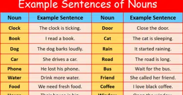 100 Example Sentences of Nouns in English with Pictures