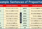 100 Example Sentences of Prepositions in English with Pictures