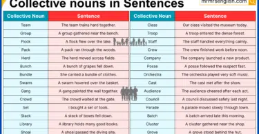 120 Collective nouns in Sentences in English with Pictures