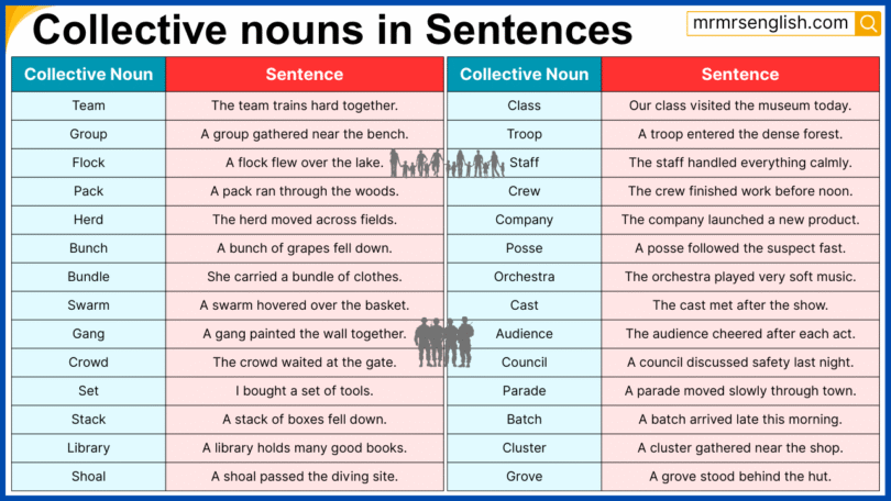120 Collective nouns in Sentences in English with Pictures