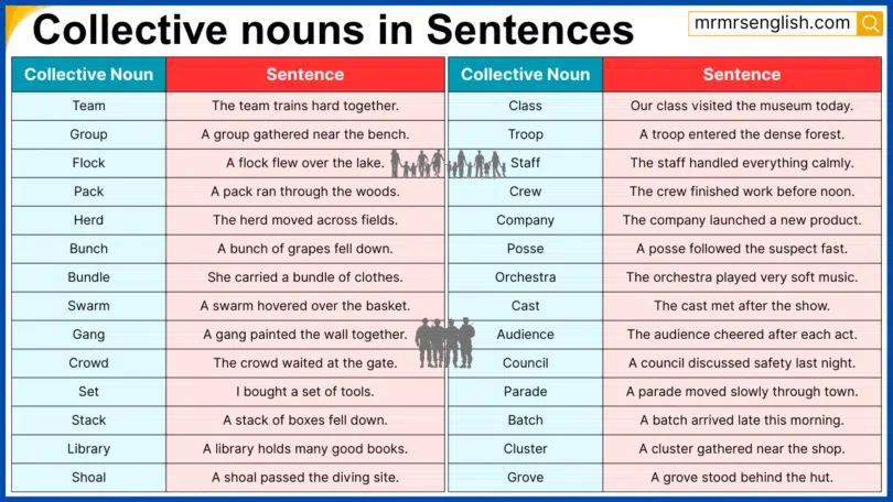 120 Collective nouns in Sentences in English with Pictures