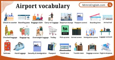 Airport vocabulary words in English with their Pictures
