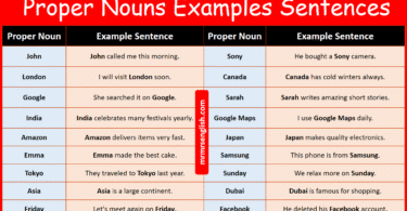 Proper Nouns Examples Sentences in English with Pictures