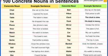 100 Concrete Nouns in Sentences in English with Pictures