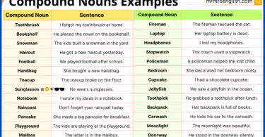 101 Compound Nouns in Sentences with Their Pictures