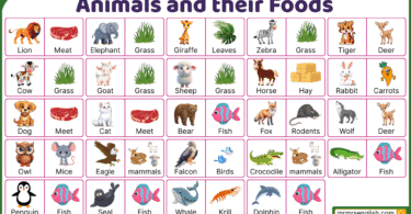 Animals Foods Names in English with Their Pictures