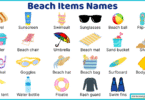 Beach items Names in English with their Pictures