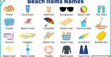 Beach items Names in English with their Pictures