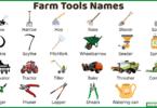 Farm Tools Names in English with Their Pictures